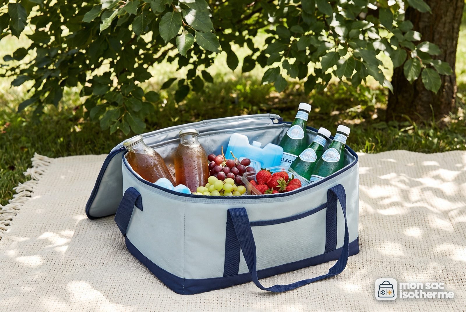 Sac isotherme ouvert rempli de boissons fraîches, de fruits et de pains de glace, à l'ombre d'un arbre