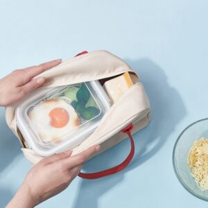 Petit joli sac isotherme repas pliable, quatre coloris
