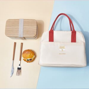 Petit joli sac isotherme repas pliable, quatre coloris