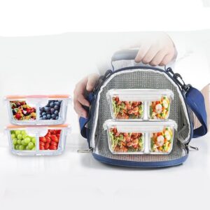 Mini sac isotherme repas 22 × 16 × 18 cm, cinq coloris