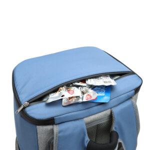 Sac à dos isotherme pour la plage, 25 × 30 × 43 cm, quatre coloris