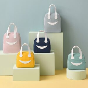 Sac à lunch pour pique-nique, deux tailles, cinq coloris