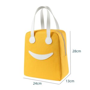 Sac à lunch pour pique-nique, deux tailles, cinq coloris