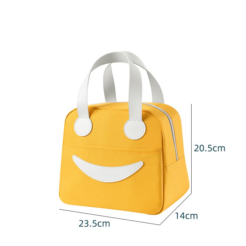 Sac à lunch pour pique-nique, deux tailles, cinq coloris