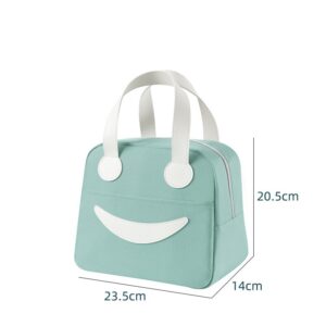 Sac à lunch pour pique-nique, deux tailles, cinq coloris