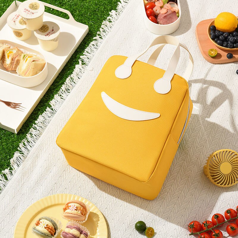 Sac à lunch pour pique-nique, deux tailles, cinq coloris