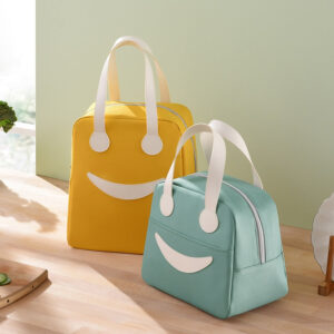 Sac à lunch pour pique-nique, deux tailles, cinq coloris