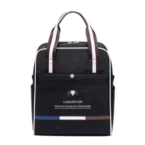 Sac isotherme repas élégant pour femme, six coloris