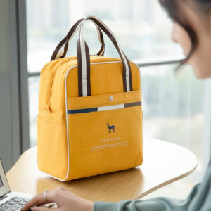 Sac isotherme repas élégant pour femme, six coloris