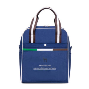 Sac isotherme repas élégant pour femme, six coloris