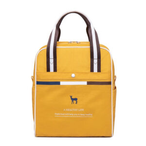 Sac isotherme repas élégant pour femme, six coloris